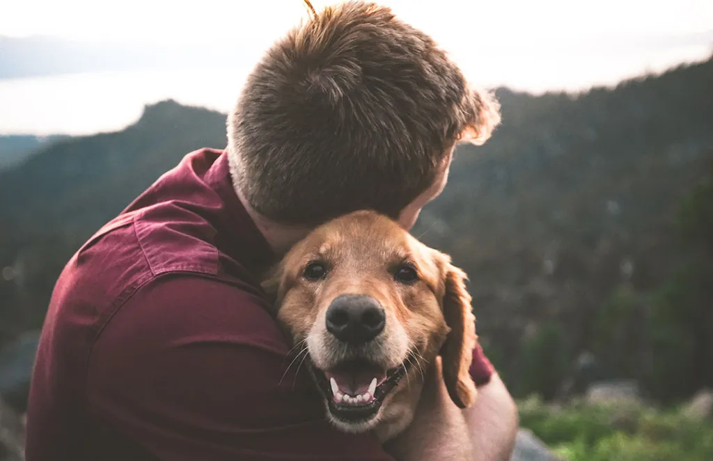 Finding Healing with a Grief Coach for Pet Loss