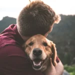 Finding Healing with a Grief Coach for Pet Loss