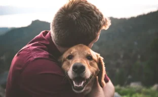 Finding Healing with a Grief Coach for Pet Loss