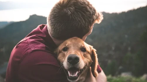 Finding Healing with a Grief Coach for Pet Loss