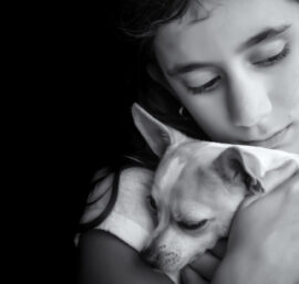 The Complete Guide to Pet Loss Grief Certification: Helping Others Heal