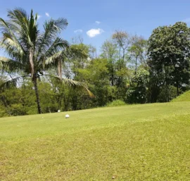 Step-by-Step Guide to Acquiring Golf Shares Philippines
